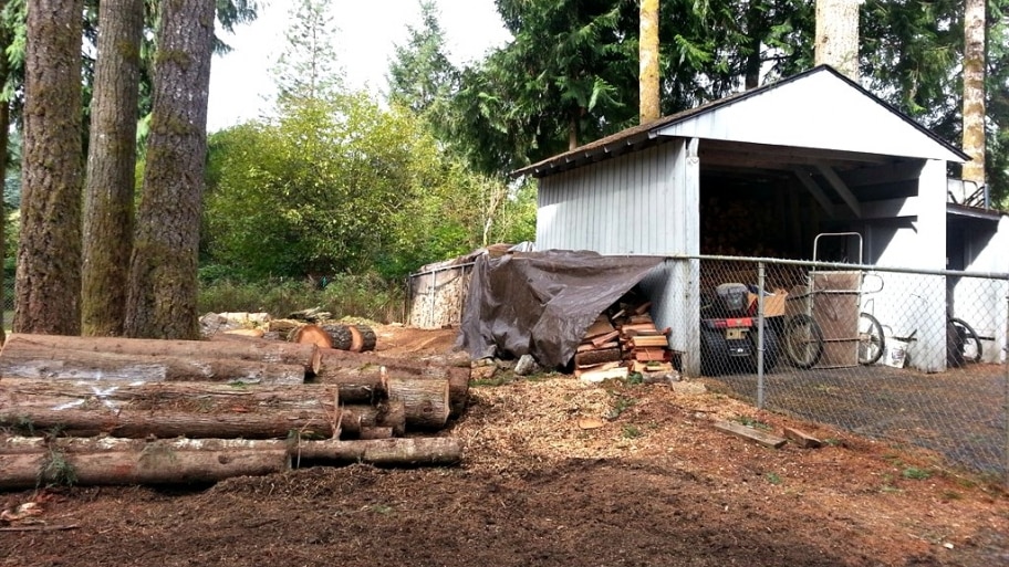 A team of pros removed 11 large fir and cedar trees; some were very close to a barn, storage shed and round pen). After the trees were felled, the logs were cut into rounds, limbs chipped up and stumps ground down. (Photo courtesy of Angie&#039;s List member Laurie S. of Battle Ground, Wash.)